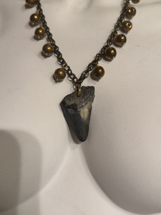 Coastal Beaded Shark Tooth