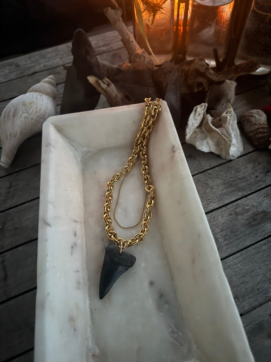 Fossil Necklace - Shark Tooth & Fossil with 18k Gold Plated Chain