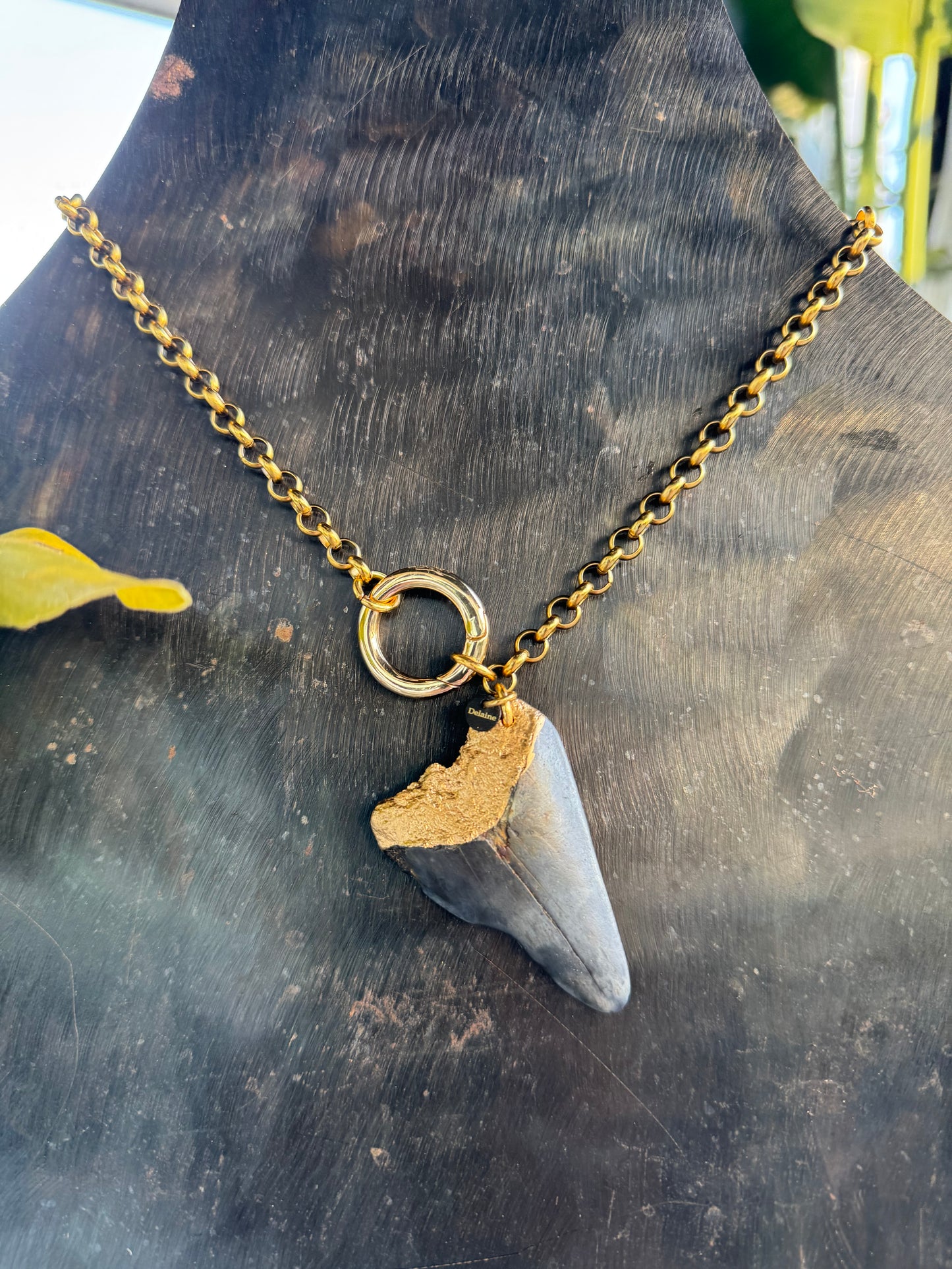 Bold Gold Chain Front Closure Shark Tooth