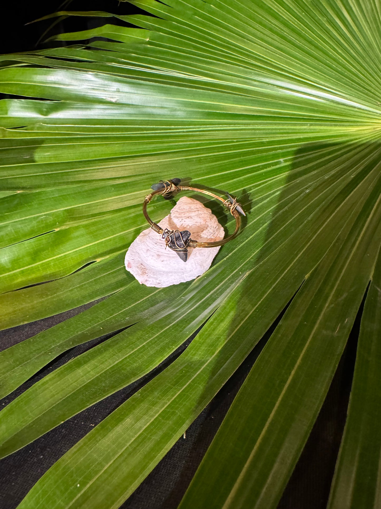 Wire Wrapped Three Shark Tooth Bracelet
