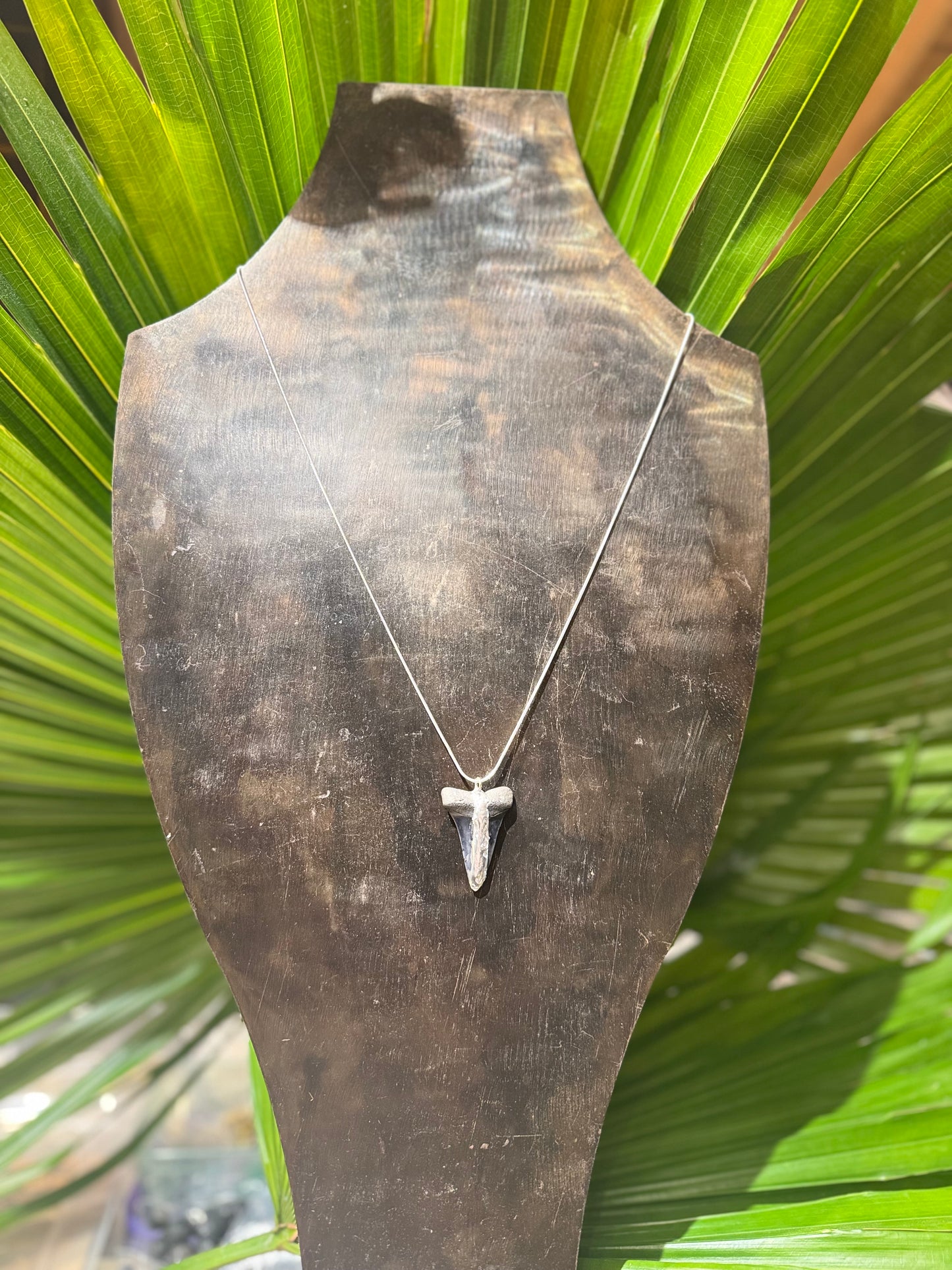 Silver Dtip Mako Shark Tooth