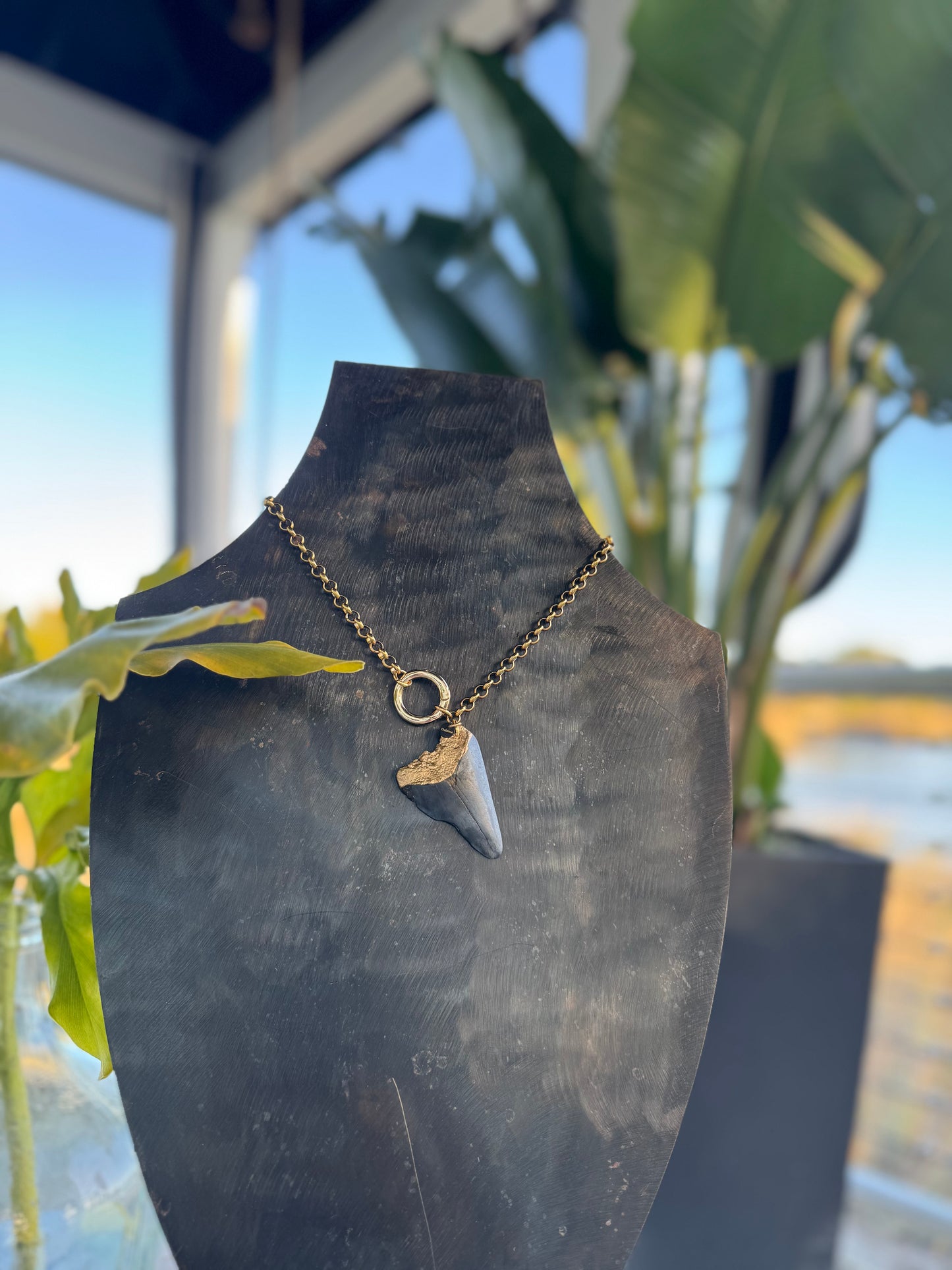 Bold Gold Chain Front Closure Shark Tooth