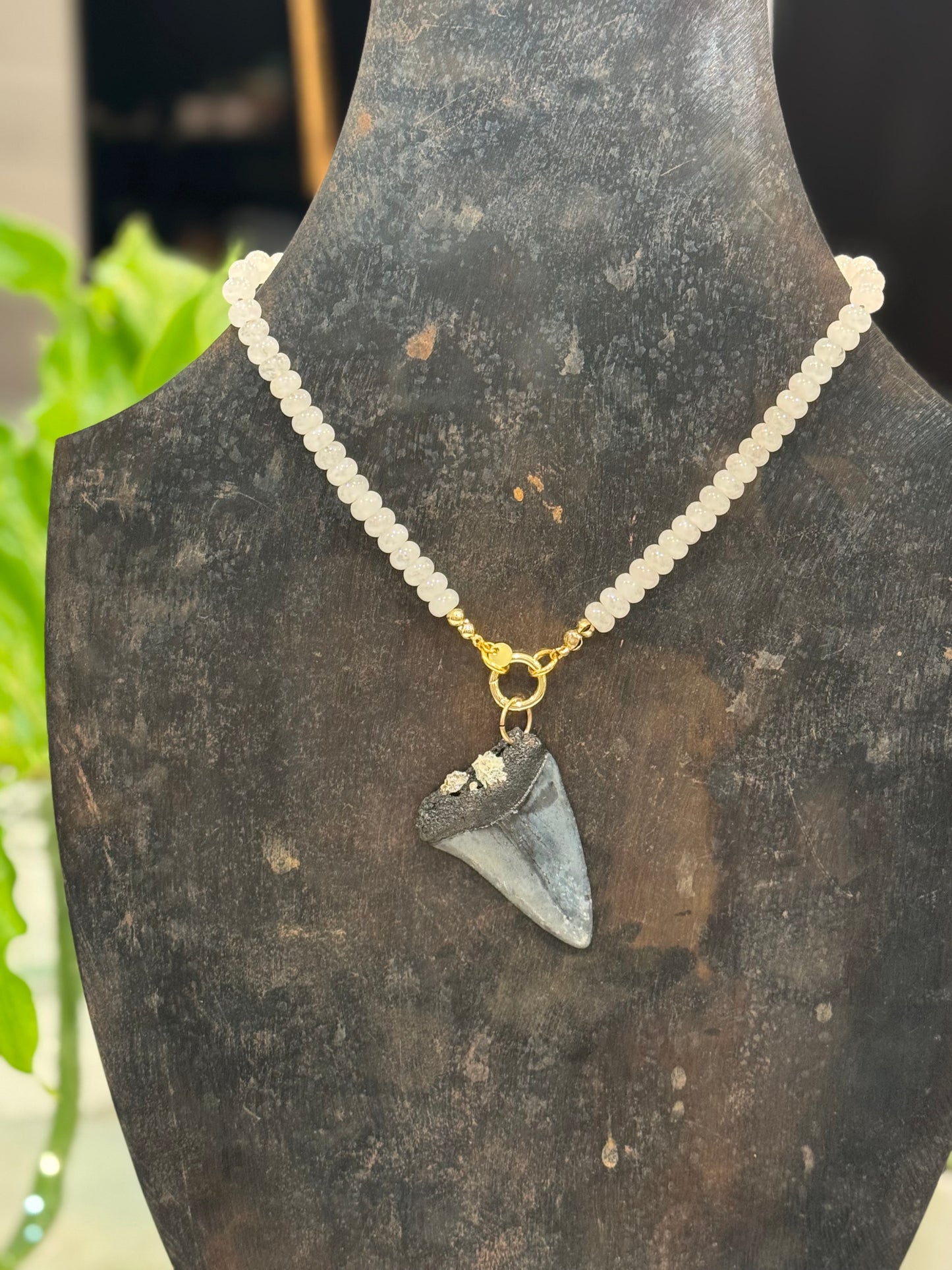 East Coast Barnacles Necklace
