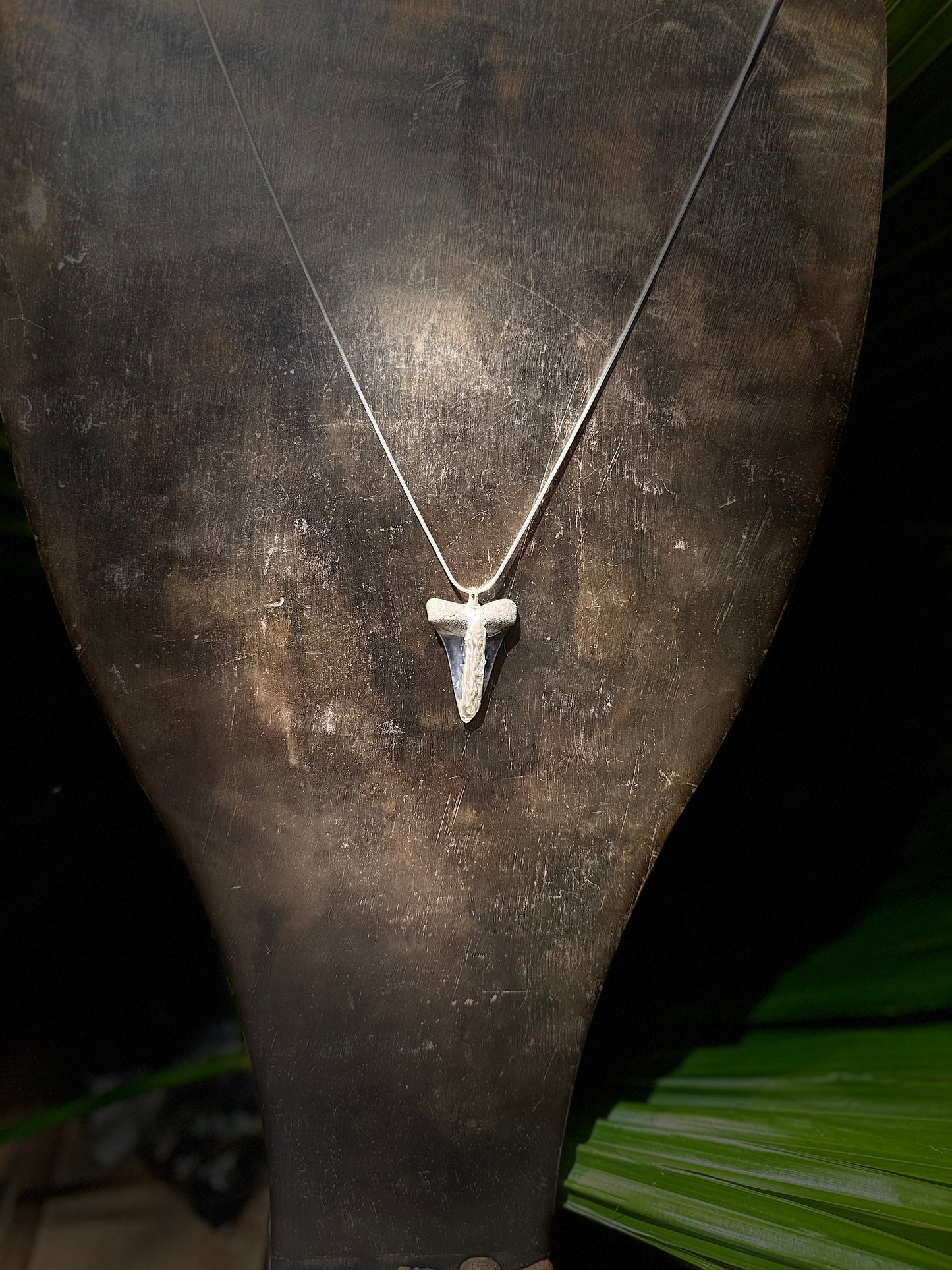 Silver Dtip Mako Shark Tooth