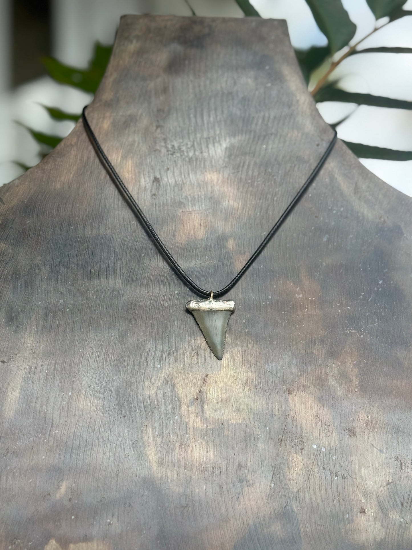Leather and Shark Tooth Necklace