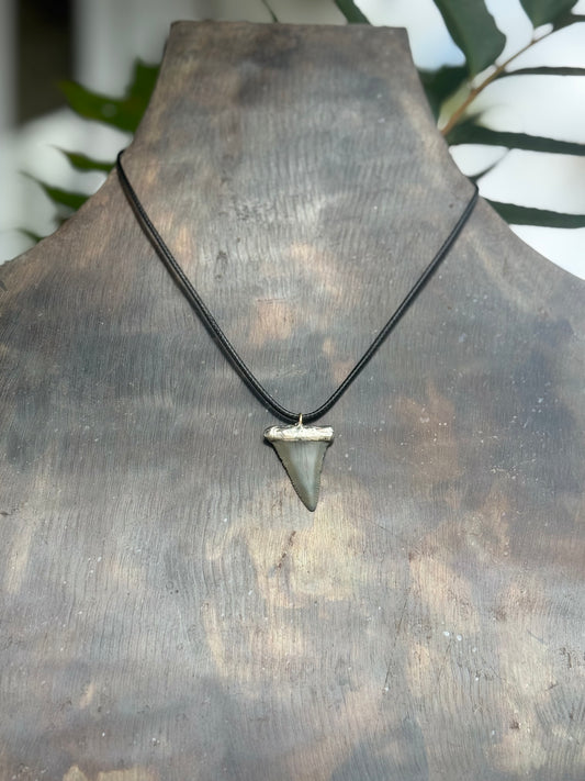 Leather and Shark Tooth Necklace