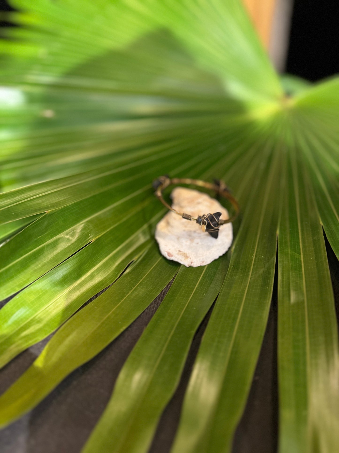 Wire Wrapped Three Shark Tooth Bracelet