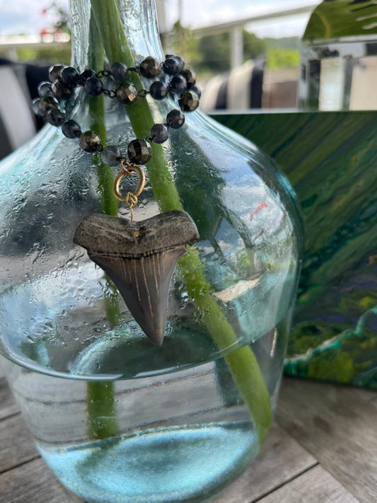 Long Coastal Shoreline Necklace