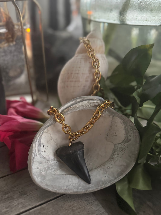 Salty Fossil Necklace