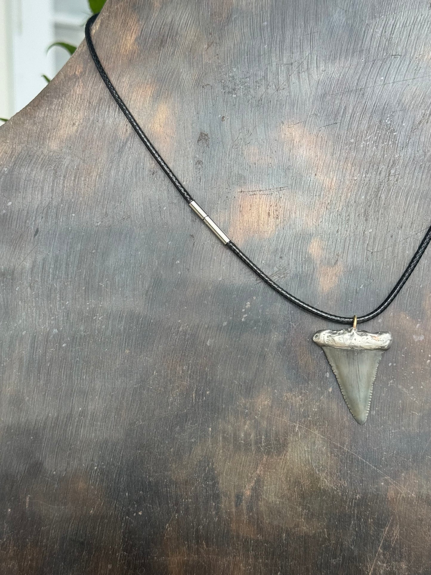 Leather and Shark Tooth Necklace