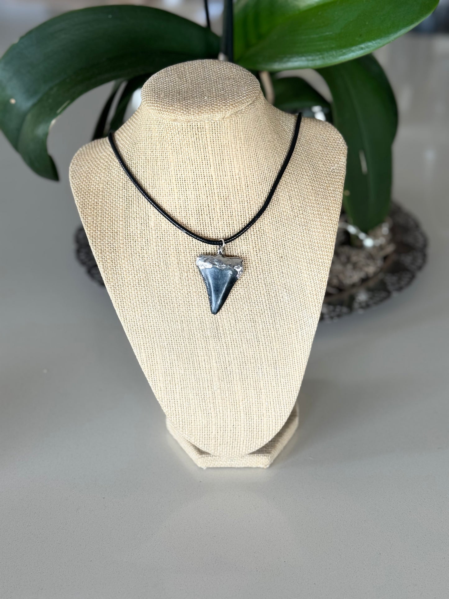 The Coastal Georgia Fossile Necklace