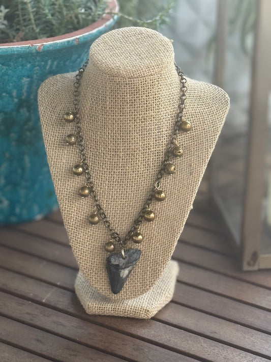 Coastal Beaded Shark Tooth