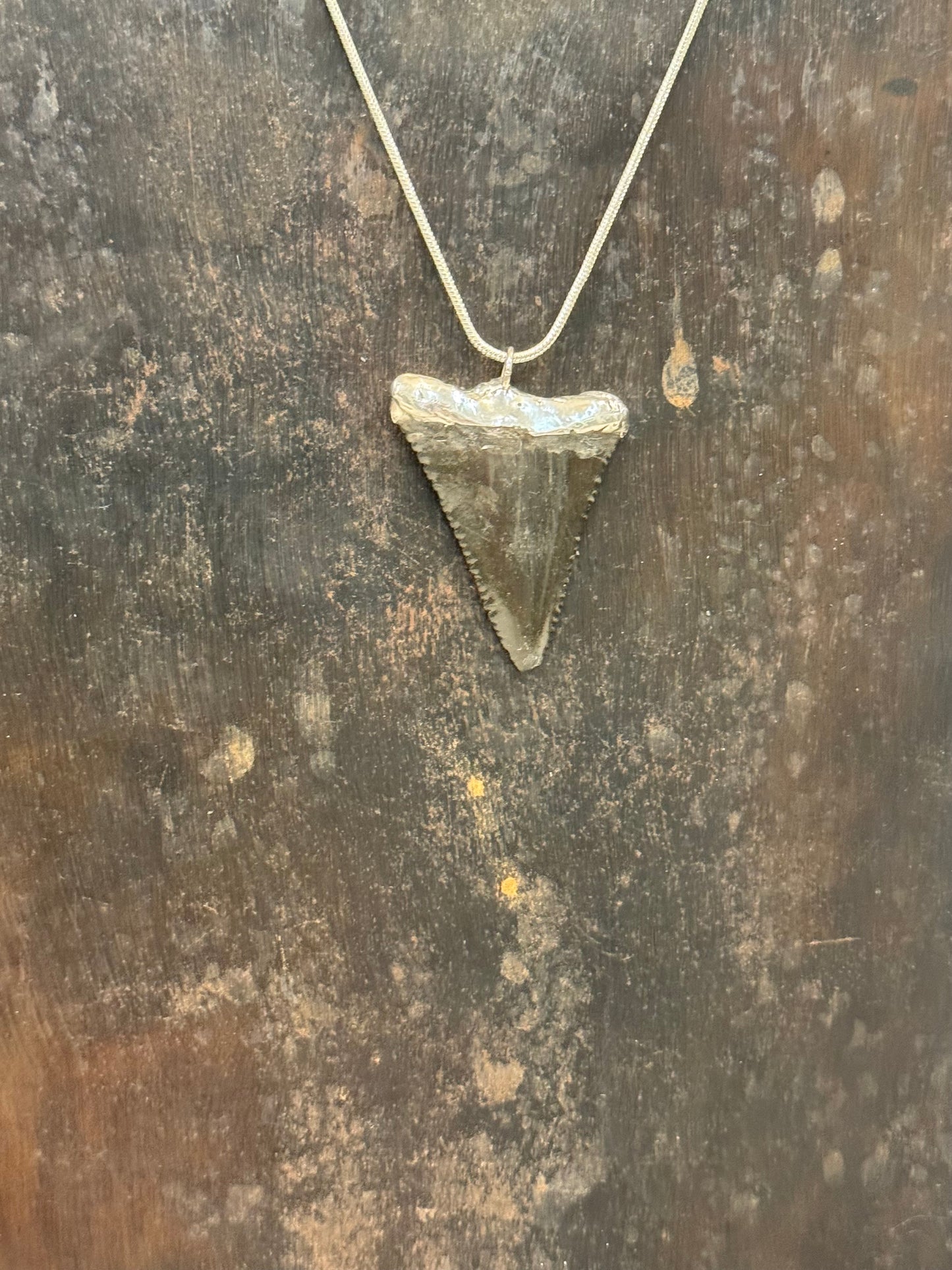 The Silver Tide Necklace