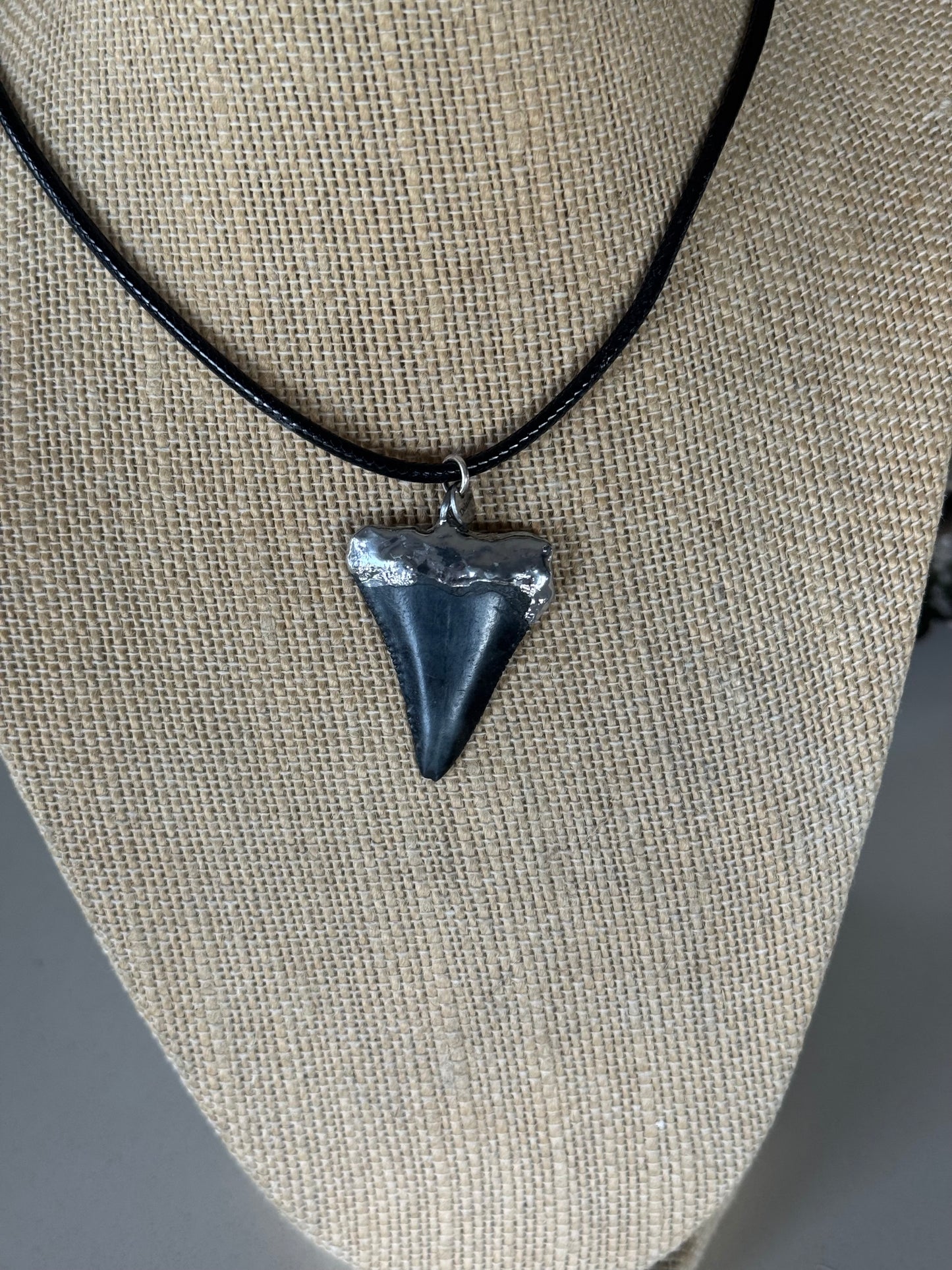 The Coastal Georgia Fossile Necklace