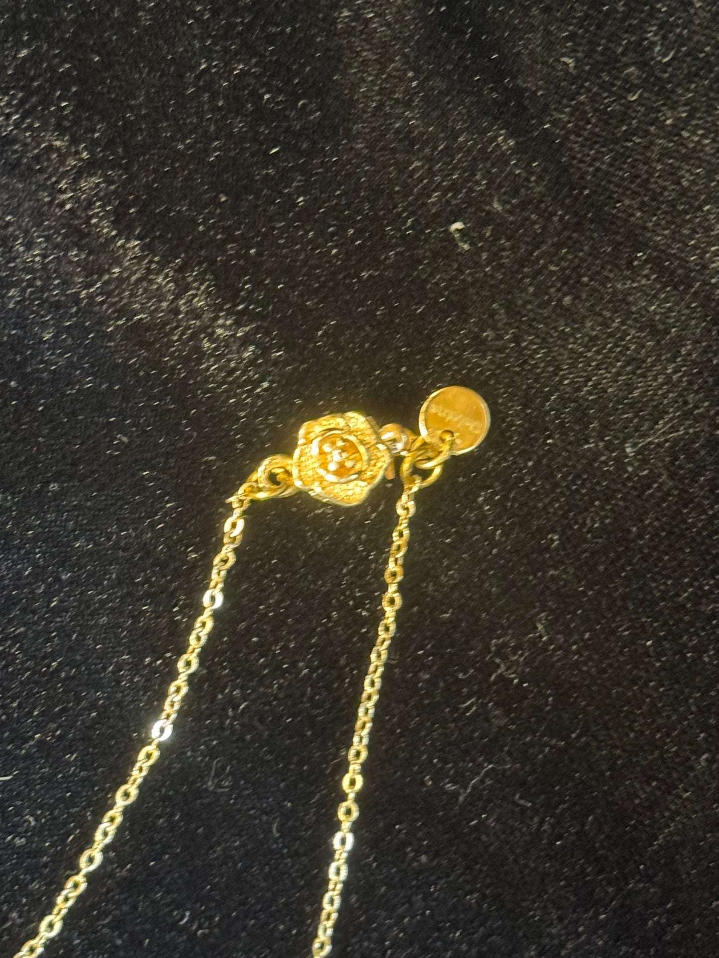 The Dufusakie Necklace- 2:51 Simple 1 Shark
