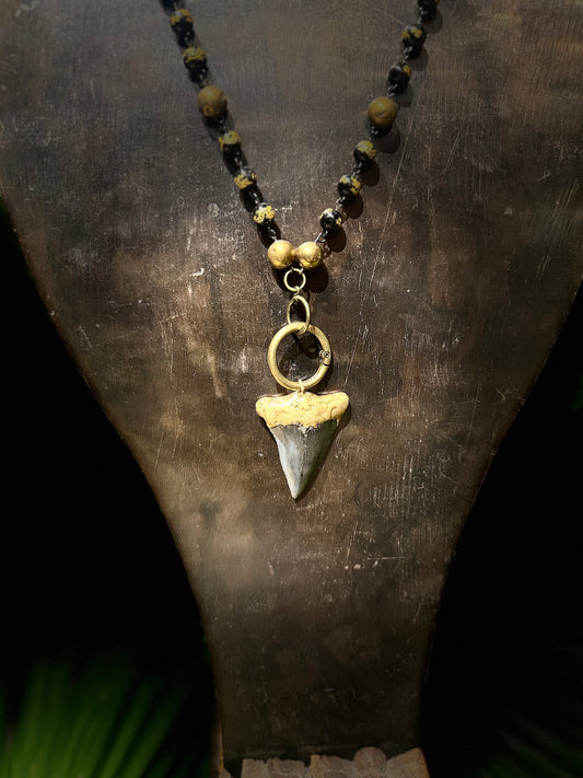 Bronze Chain with Mako Shark Tooth