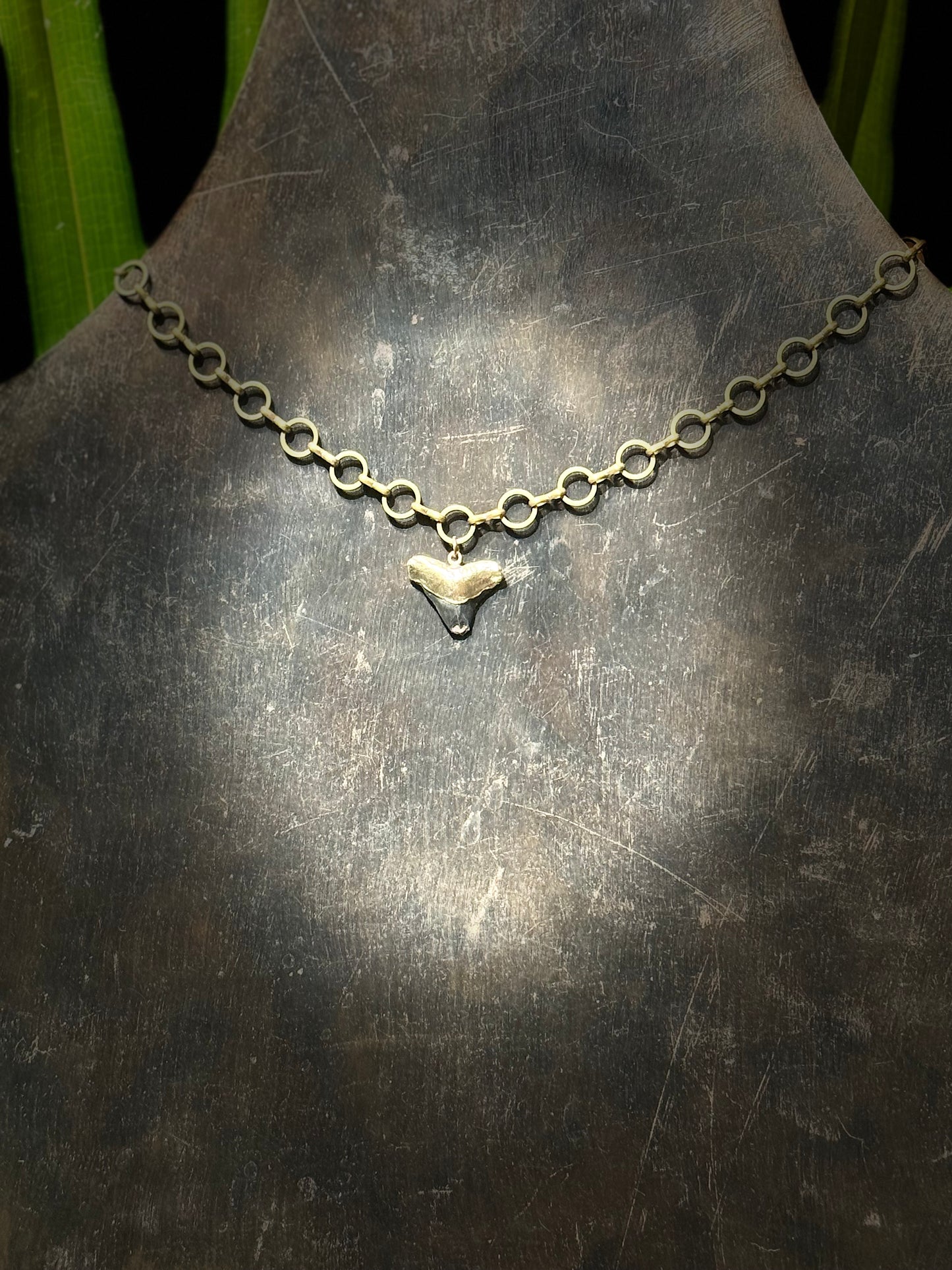 Bronze Requiem Shark Tooth Necklace