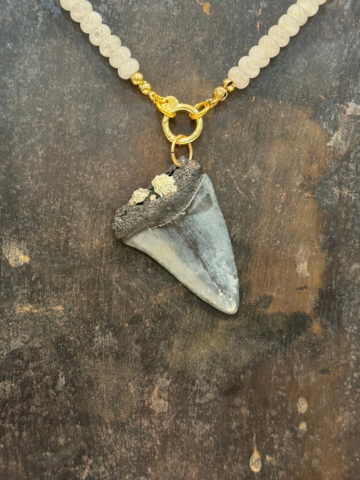 East Coast Barnacles Necklace