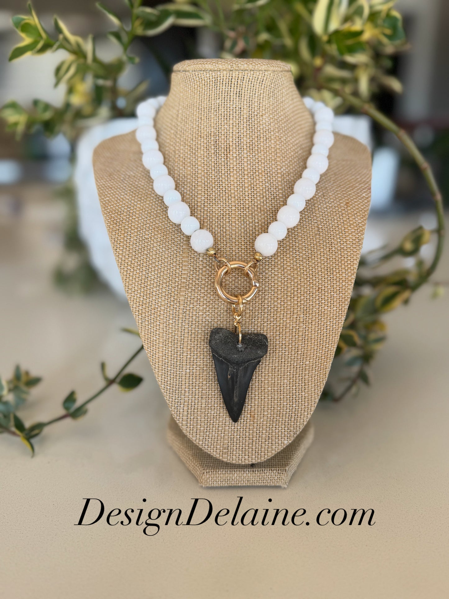 Elegant White Shark Tooth Necklace ￼
